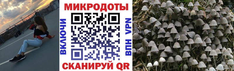 Псилоцибиновые грибы Cubensis Архангельск